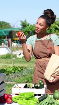 Young female farmer selling fresh organic vegetables at market stall