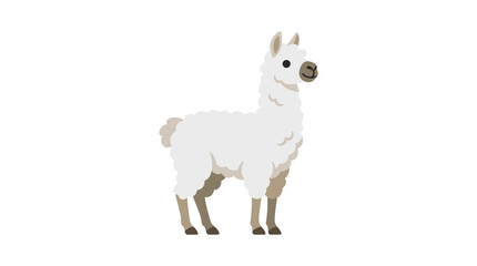 Cute Cartoon Llama Illustration on White Background © Bojo