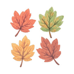 Obraz premium PNG Colorful autumn leaves illustration.