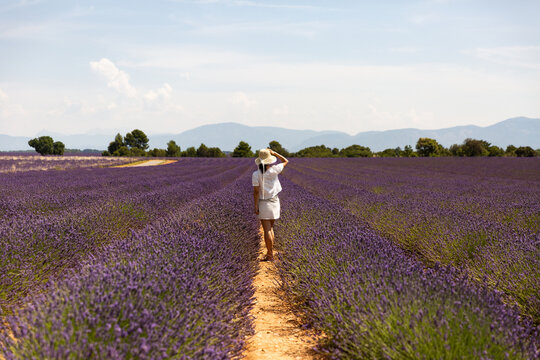 Une femme habill&eacute;e en blanc debout au milieu d'un champ de lavande violette en fleur, elle porte un chapeau et regarde l'horizon, arbres verts, collines et ciel bleu en arri&egrave;re-plan, sud de la France
