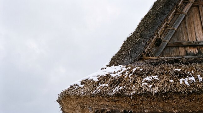 A rustic thatched roof with a hint of snow dusting atop hints at traditional rural architecture, under a muted, overcast sky.