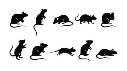 Obraz premium Set of ten black silhouette rodents in various poses on transparent background