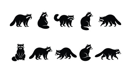 Fototapeta premium Various black and white raccoon animal icons in different poses