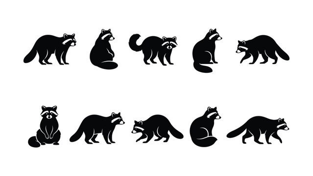 Various black and white raccoon animal icons in different poses