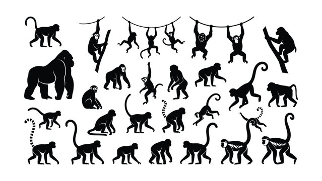 Various Monkeys Silhouettes Displaying Different Poses and Actions