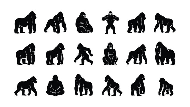 Various Silhouette Illustrations Of Different Primate And Gorilla Positions On Transparent Background