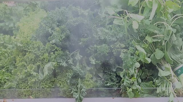 Fresh green vegetables are displayed on a refrigerated supermarket shelf, surrounded by a cool mist.