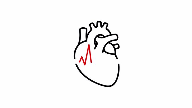 Anatomical human heart line icon with red heartbeat pulse wave symbolizing cardiovascular health and cardiology medical care