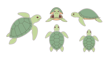 Set of cute green sea turtle illustrations showing different angles and swimming poses isolated on white background © Nurin