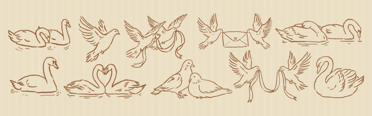 Vintage wedding birds and swans collection. Chalk drawn doves, ribbons, love letter. Whimsical valentines day clipart with textured crayon outline. Vector ink wedding elements for invitations or cards © Alena creator