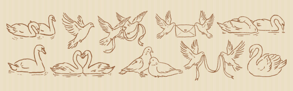Vintage wedding birds and swans collection. Chalk drawn doves, ribbons, love letter. Whimsical valentines day clipart with textured crayon outline. Vector ink wedding elements for invitations or cards