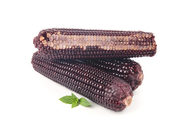 Sweet Black Purple Corn Ears with Fresh Mint Leaves - Northeast Jade Sticky Corn Variety © BuiThi