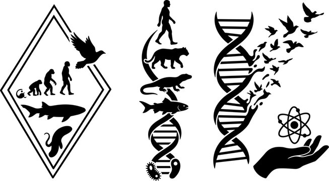 Human Evolution and Science Vector Illustration Set with DNA Helix, Transforming Birds, Ape to Man Progress, Atom Symbol, and Biological Development Silhouette Designs
