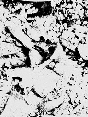 Obraz premium an abstract black and white grunge distress texture with rough, weathered, and grainy surface patterns.