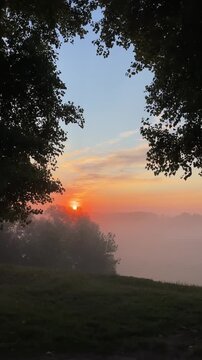 Soft morning light and gentle sunbeams filtering through dense forest trees at dawn, serene nature landscape