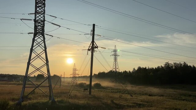 High voltage power lines standing tall near a dark forest under a dramatic colorful sky during a summer dawn