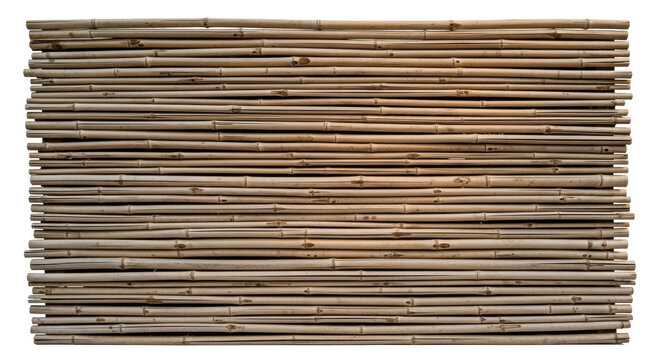 Natural bamboo sticks bundle arranged in parallel rows isolated on transparent background