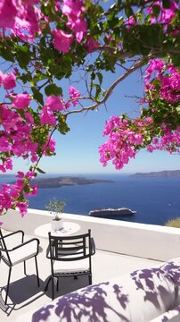 White architecture in Santorini island, Greece. Beautiful terrace with blooming pink flowers. Blue sea and the blue sky at sunny day. Travel and summer vacation concept. Vertical video
