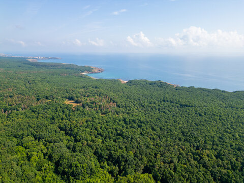 Aerial View of Strandzha Green Forest Meeting the Black Sea Coast