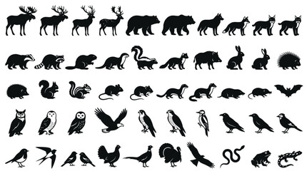 Fototapeta premium Collection of Diverse Wild Animal Silhouettes Set Featuring Woodland Creatures Birds and Reptiles in Black Graphic Style