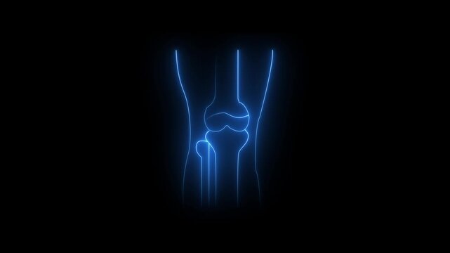 Blue Neon Outline of a Human Knee Joint Against a Black Background human anatomy
