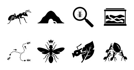 Obraz premium Ant Icons Set: Insect Life, Colony, Magnified View, Habitat, Queen Ant, Leaf Interaction, Teamwork