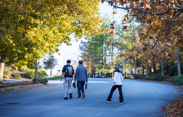 Fototapeta premium Three people walking across the road in autumn. Walkable city in California. USA.