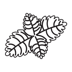 Mint Leaves Line Art