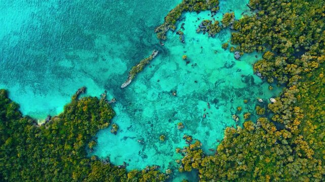 A striking high-altitude bird's-eye drone view capturing a pristine turquoise coral reef coastline and dense, lush islet canopy.