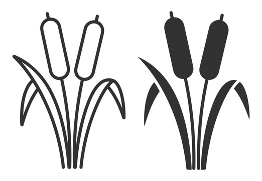 cattail plant icon set vector illustration on transparent background