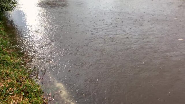 Heavy rain falls on a flooded residential street with standing water and ripples under an overcast sky caused by El Nino.