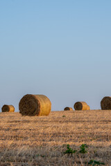 Vertical Rural Landscape with Round Hay Bale in Harvest Field © Lisana
