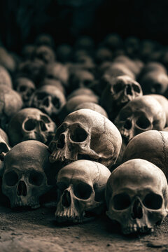 A large group of skulls is placed close together in a dim area, making a striking display for Halloween festivities. The scene has a spooky vibe