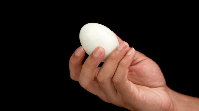 Chicken egg held in their hands, holding a egg against black background.