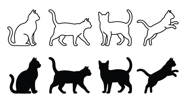 Cat Silhouettes And Outlines On White Background