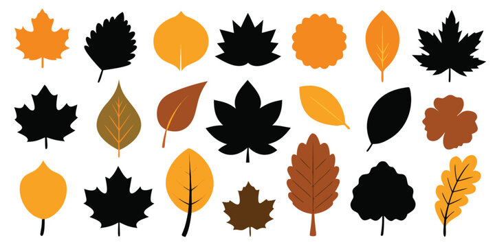 Assorted autumn leaves shapes and colors isolated on white background fall nature vector icons.