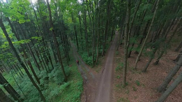 Elevated static view of a forest path fork junction with both directions visible. A cyclist enters from below and exits down the left trail, creating natural motion through the junction.