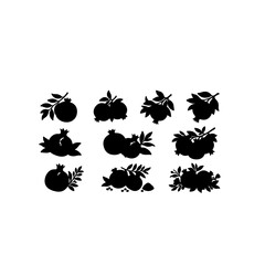 Obraz premium Natural Pomegranate Botanical Icon Pack
