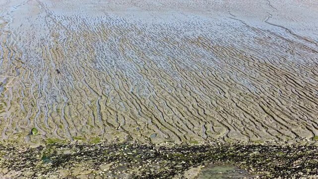 Aerial view of intricate tidal patterns and water channels carved into the mudflats of the French coastline France.