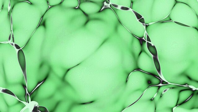 An abstract green fluid pattern with smooth waves and swirling designs creating a vibrant, dynamic background