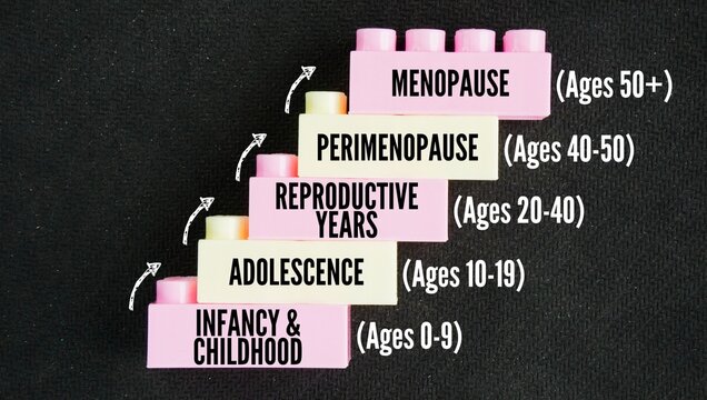 The biological life cycle of a woman spans five major stages from infancy to older adulthood are Infancy and Childhood, Adolescence, Reproductive Years, Perimenopause, Menopause word. 