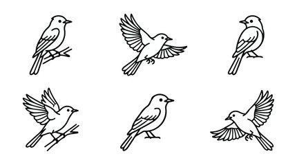 Obraz premium A set of six flycatcher bird in various poses line art vector icon illustrations on a white background 