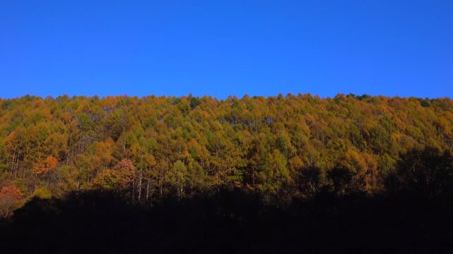 日当たる紅葉の山