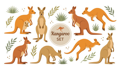 Kangaroo vector illustration set. Joey in pouch, jumping kangaroo, wild bushes, leaves, badges and Australian safari animal elements. © Creative Studio 