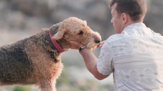 Man petting his adorable airedale terrier dog outdoor