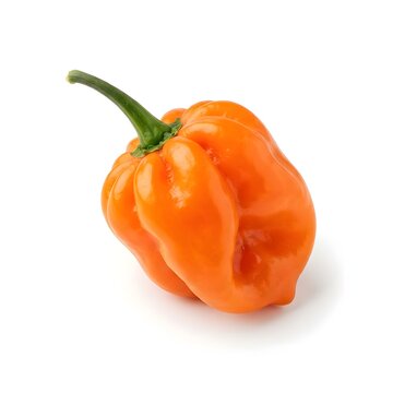 Orange habanero chili pepper on white background, spicy scotch bonnet pepper with green stem, fresh organic hot chili for culinary cooking