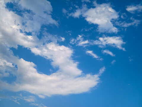 Bright Vivid Blue Sky with Soft White Fluffy Cumulus Clouds