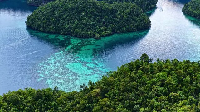 Aerial view of lush green tropical islands surrounded by vibrant turquoise lagoons and coral reefs in the Philippines.