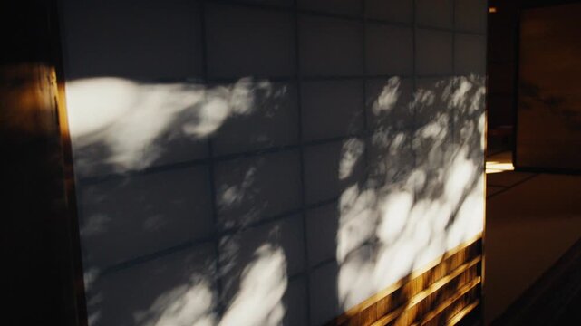 Tree shadow moving on traditional japanese shoji screen