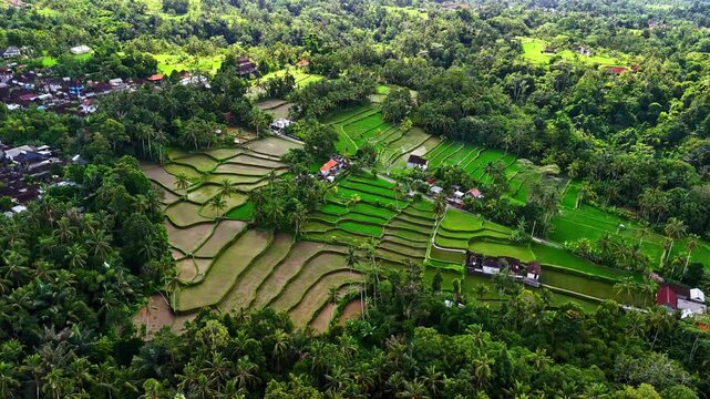 Aerial view of lush green rice terraces nestled among tropical trees and small village houses in Bali, Indonesia.